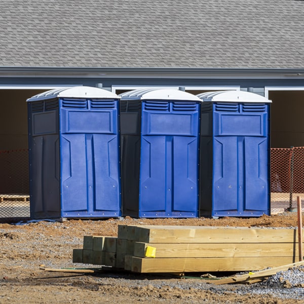 how often are the porta potties cleaned and serviced during a rental period in Warren NY